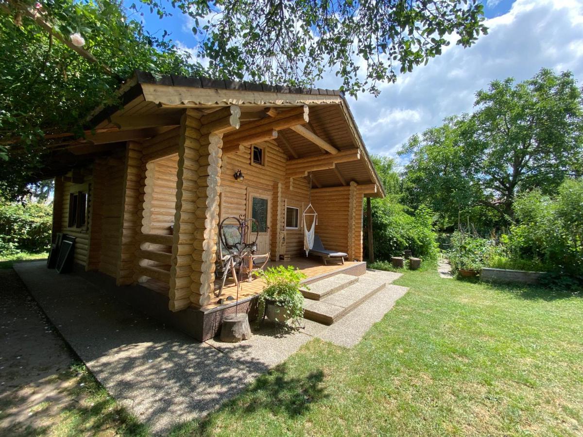 Gemuetliche Blockhuette In Wiennaehe Zofing Экстерьер фото